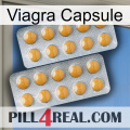 Viagra Capsule levitra2